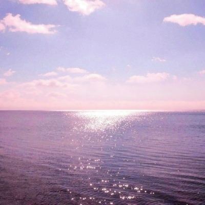 夺爱攻略内购破解版下载